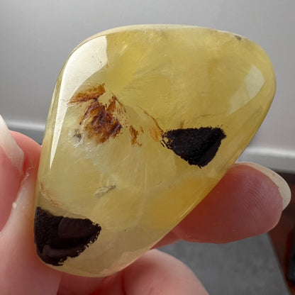 Australian Prehnite Pocket Stone | Yellow Prehnite Tumbled Crystal
