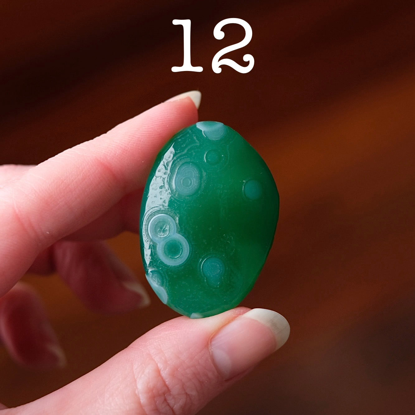 You Choose! Gobi Agate | Gobi Desert Agates