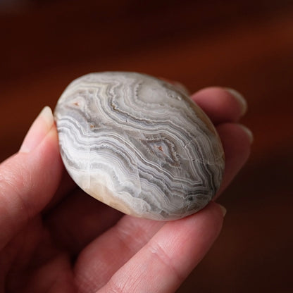 Crazy Lace Agate Palm | Mexican Crazy Lace Crystal Palm