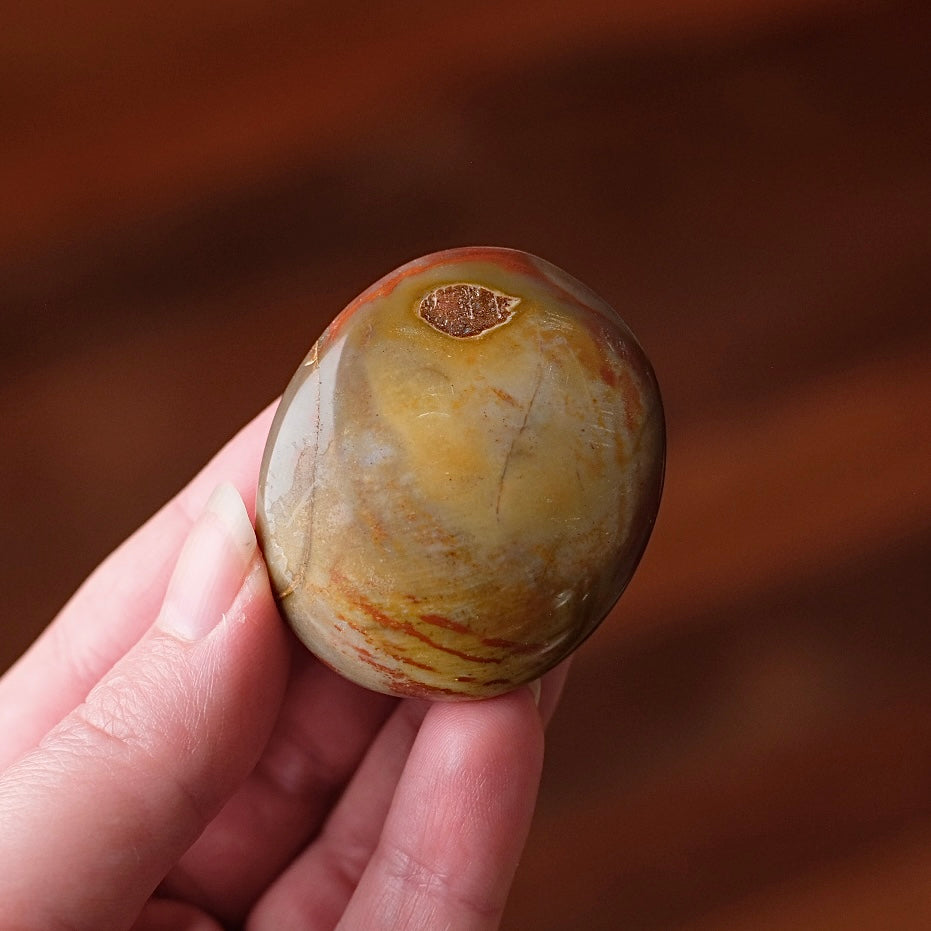 Red Petrified Wood Palm | Fossilized Wood Crystal Palmstone