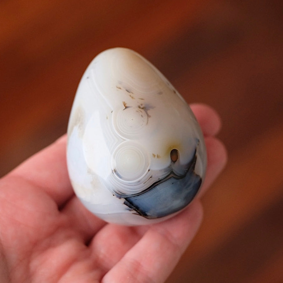 Agate Egg | Dendritic Agate Crystal Egg
