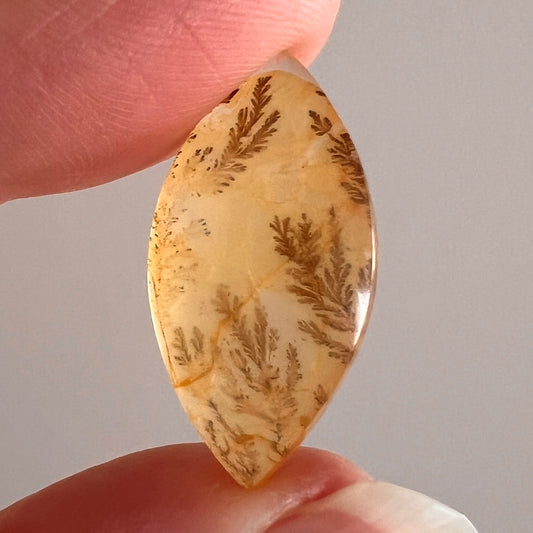 Dendritic Golden Healer Quartz | Crystal Cab