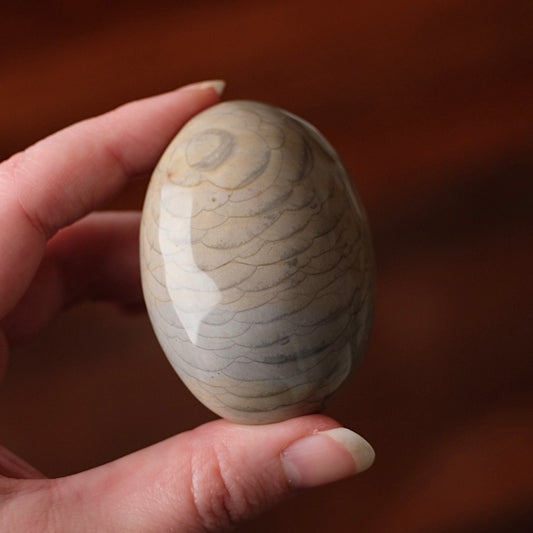 Polychrome Jasper Palm | Wave Polychrome Palm Stone