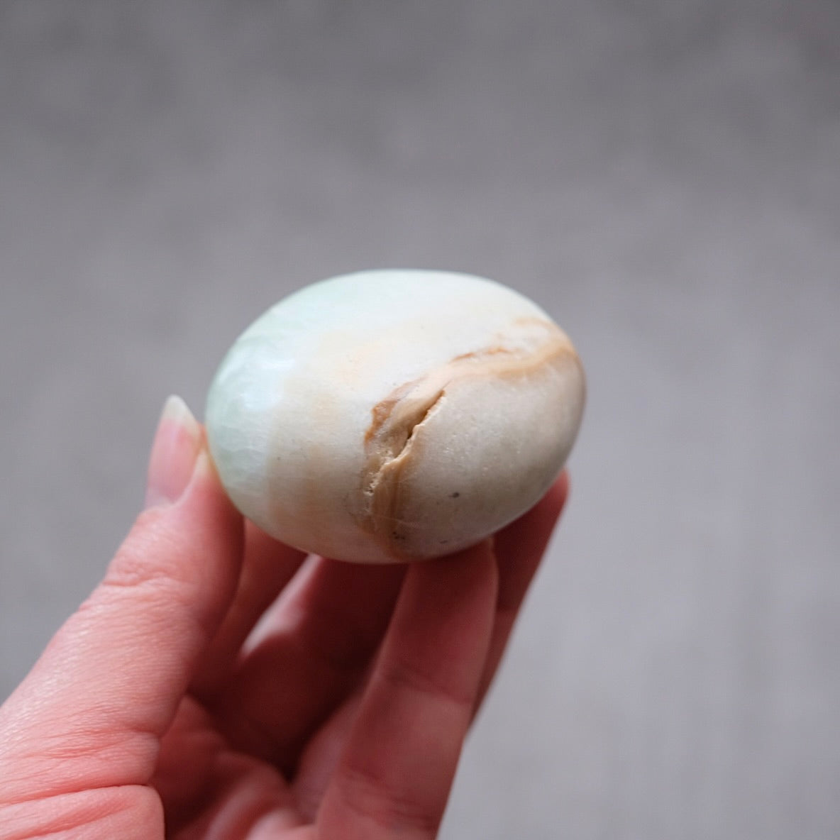 Caribbean Calcite Palm | Blue Calcite Crystal Palmstone