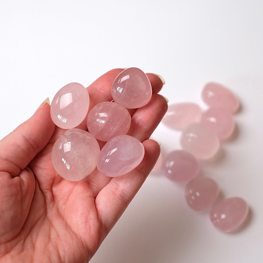 Rose Quartz Tumbles | Star Rose Quartz Tumbled Crystal