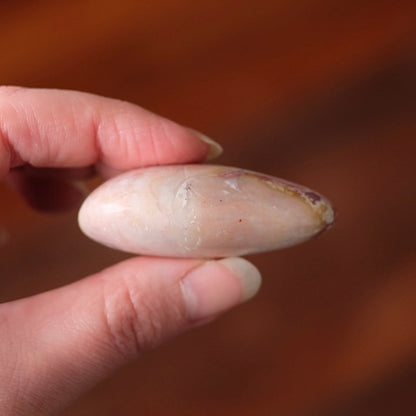 Pink Ocean Jasper Palm | OJ Crystal Pocket Stone