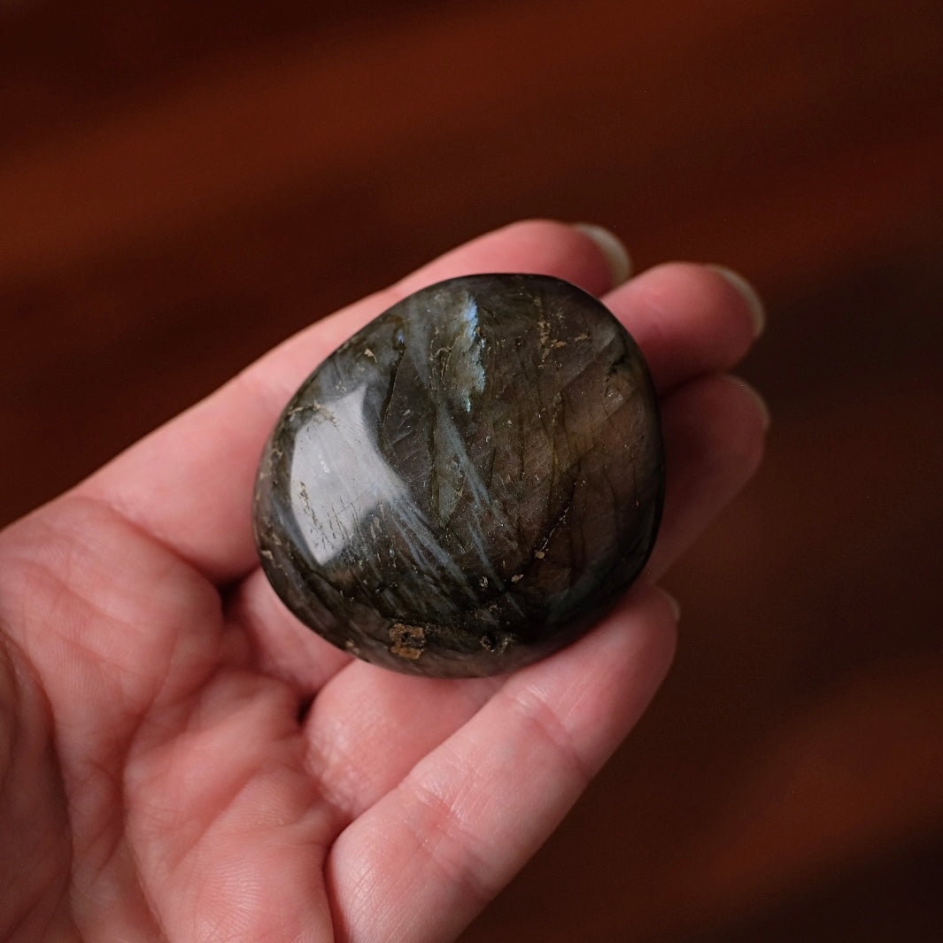 Labradorite Palm | Orange Labradorite Crystal Palm