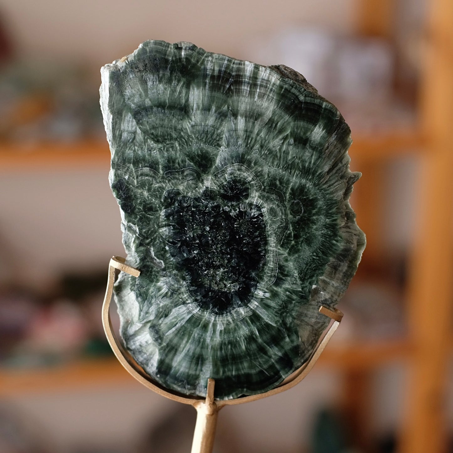Seraphinite Slice + Stand | Polished Seraphinite Slab