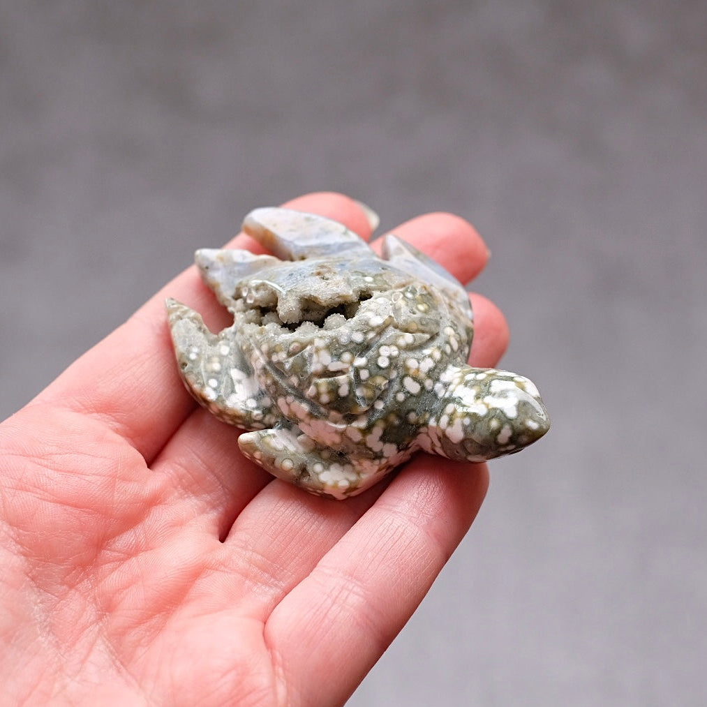Ocean Jasper Turtle Carving | Crystal Animal | Druzy Crystal Turtle