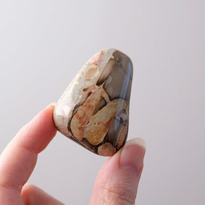 Australian Peanut Wood  | Polished Peanut Wood Crystal Freeform