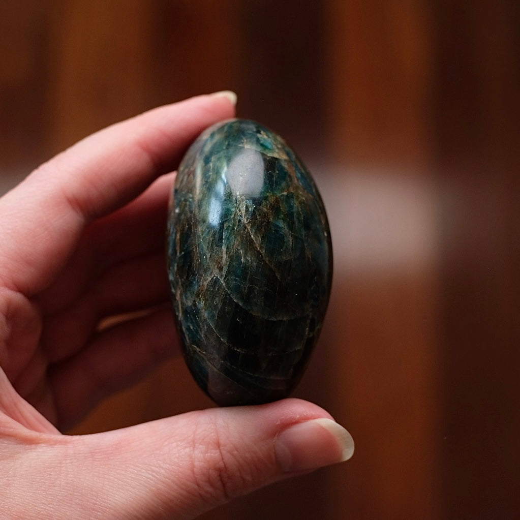 XL Apatite Palm | Dark Teal Blue Apatite Crystal Palmstone