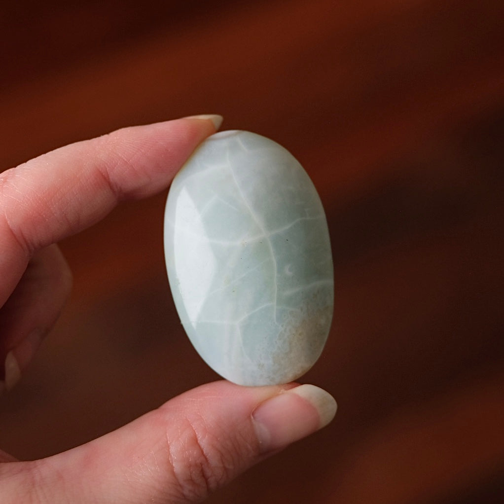 Rare Blue Flower Agate Palm | Green Flower Agate Palm