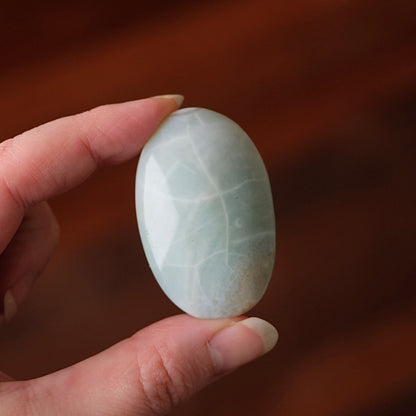 Rare Blue Flower Agate Palm | Green Flower Agate Palm
