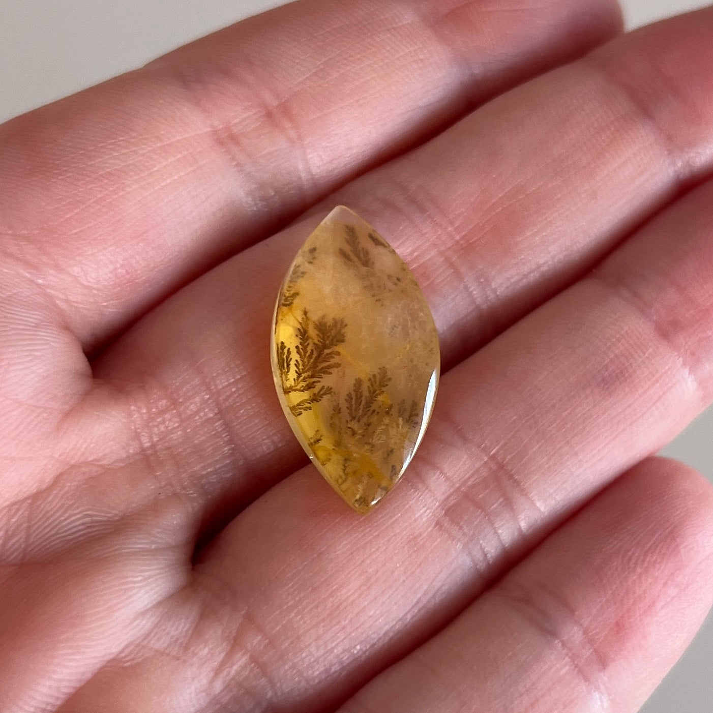 Dendritic Golden Healer Quartz | Crystal Cab