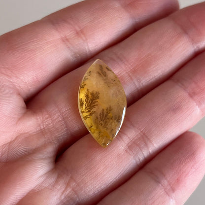 Dendritic Golden Healer Quartz | Crystal Cab