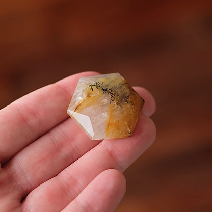 Dendritic Quartz Hexagon | Golden Healer Crystal Jewel | Star of David