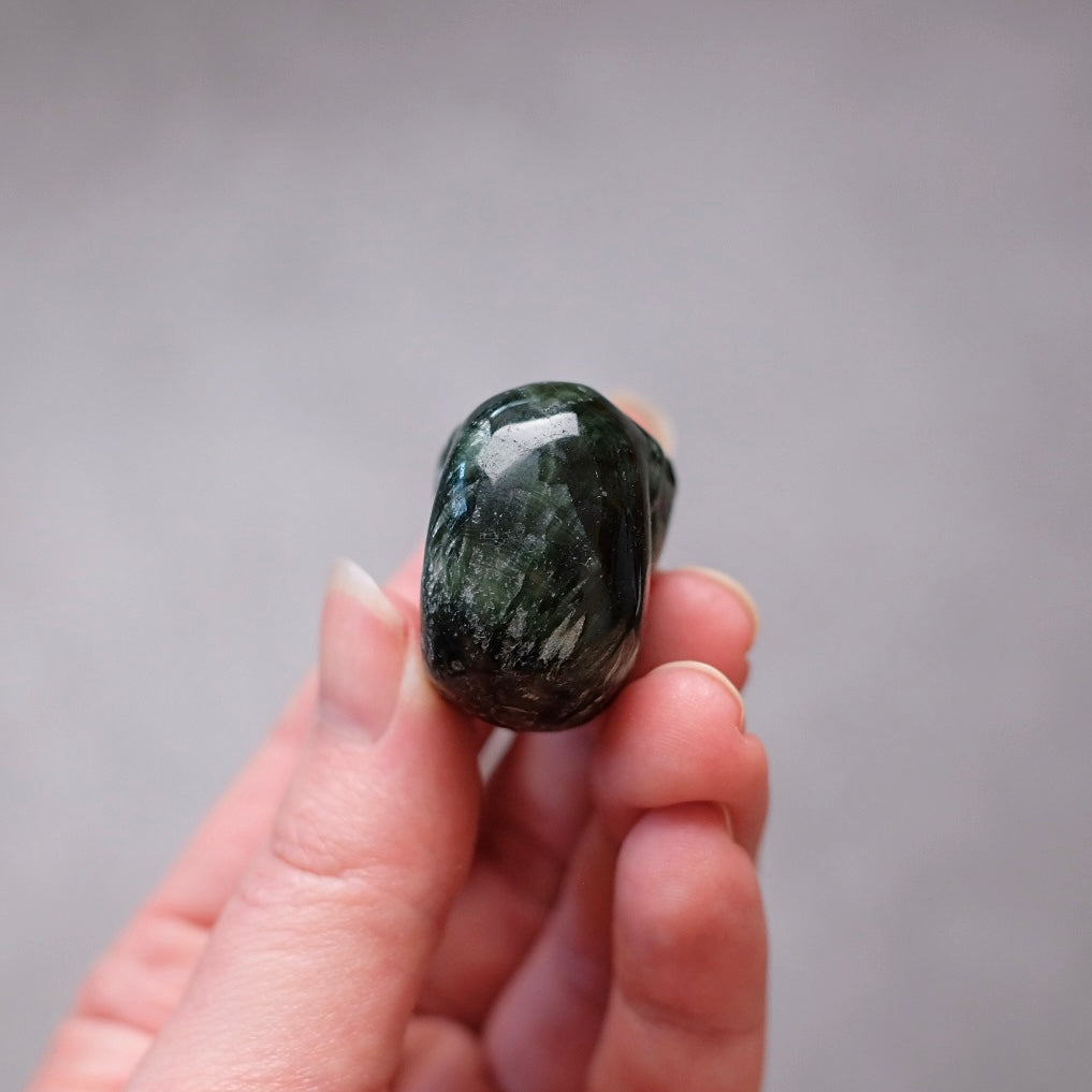Seraphinite Crystal Skull | Rare Skull Carving