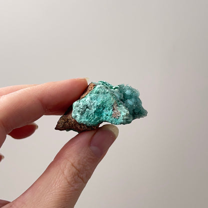 Druzy Chrysocolla Specimen | Chrysocolla with Malachite