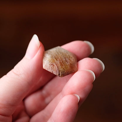 Thousand Layer Quartz Hexagon | Crystal Jewel | Star of David