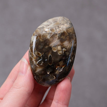 Australian Peanut Wood  | Polished Peanut Wood Crystal Freeform