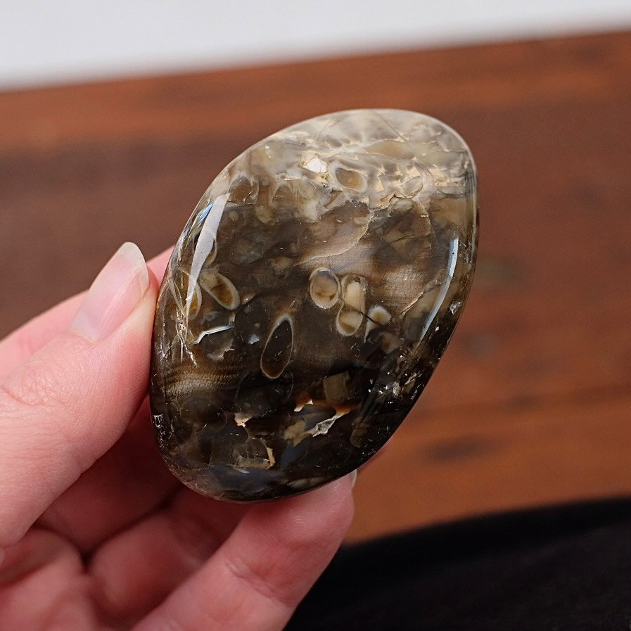 Australian Peanut Wood  | Polished Peanut Wood Crystal Freeform