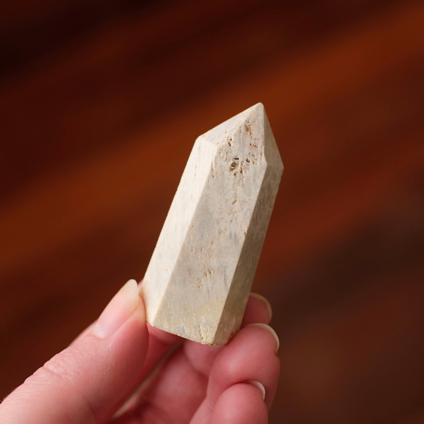Coral Fossil Point | Coral Crystal Tower