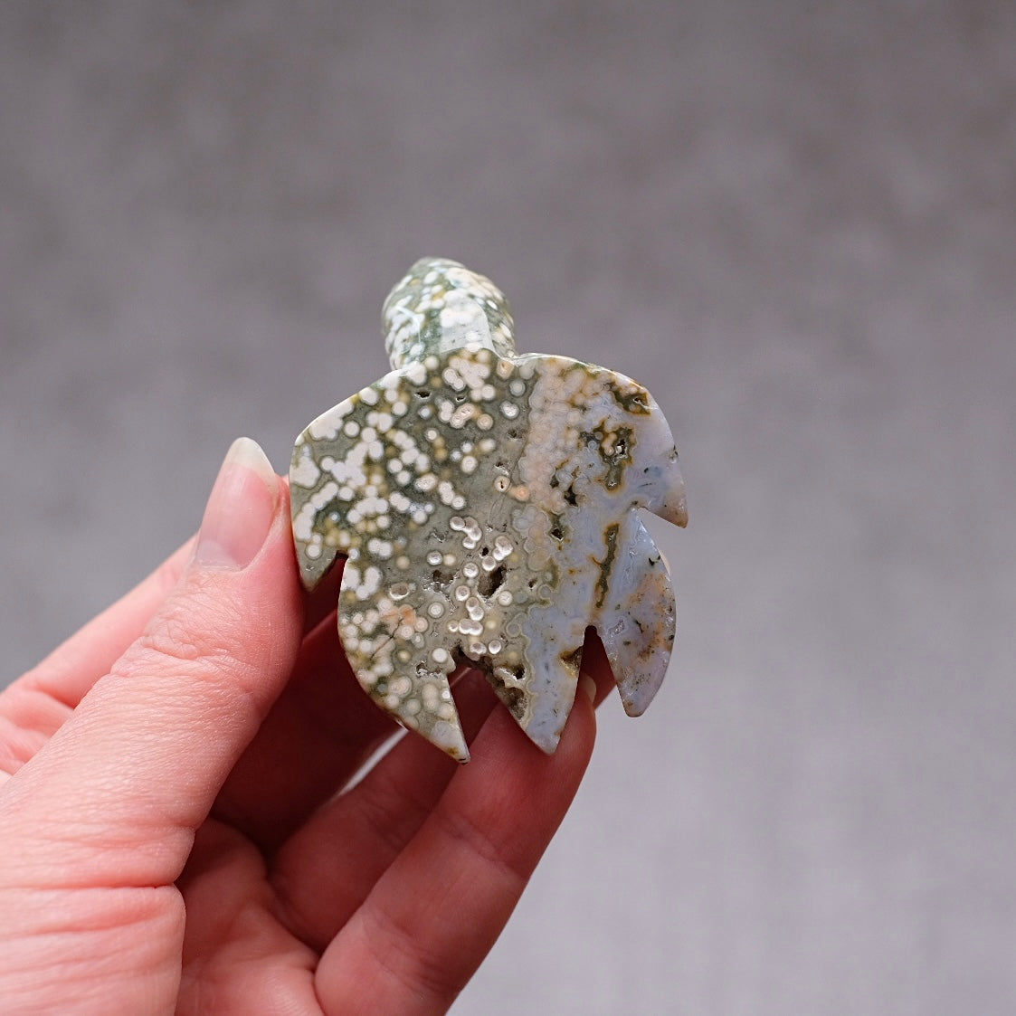 Ocean Jasper Turtle Carving | Crystal Animal | Druzy Crystal Turtle