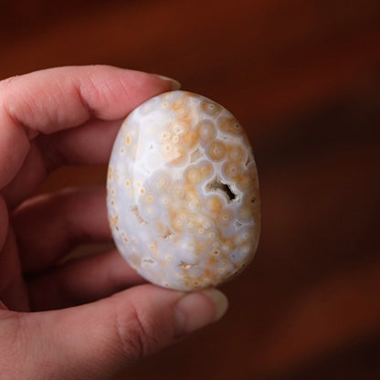 Old Stock Ocean Jasper Palm | Orbicular OJ Crystal Palmstone