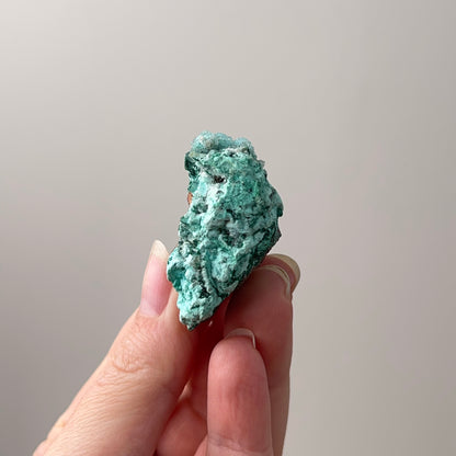 Druzy Chrysocolla Specimen | Chrysocolla with Malachite