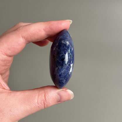 Sodalite Palm | Blue Sodalite Crystal Palm Stone