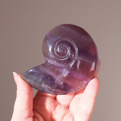 Yttrium Fluorite Ammonite Carving | Pink Fluorite Crystal Shell
