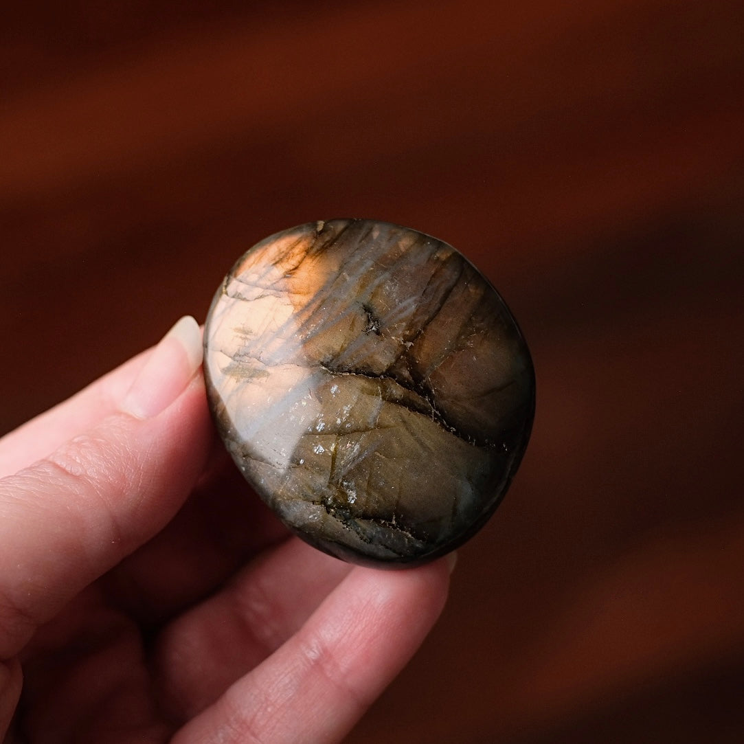 Labradorite Palm | Orange Labradorite Crystal Palm