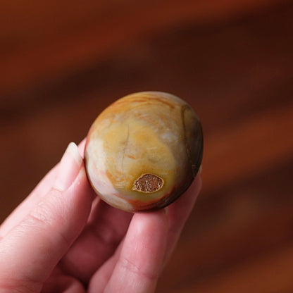 Red Petrified Wood Palm | Fossilized Wood Crystal Palmstone