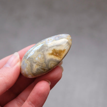 Ocean Jasper Palm | OJ Crystal Pocket Stone