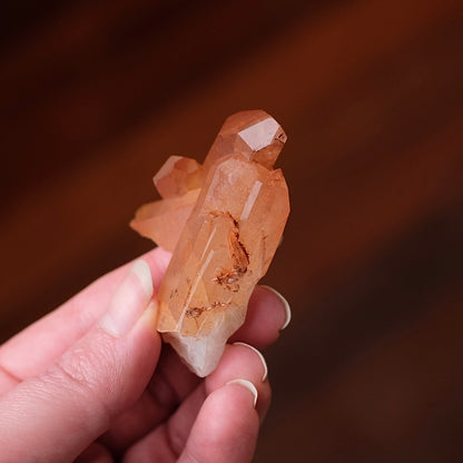 Tangerine Quartz Cluster | Orange Quartz Crystal Specimen