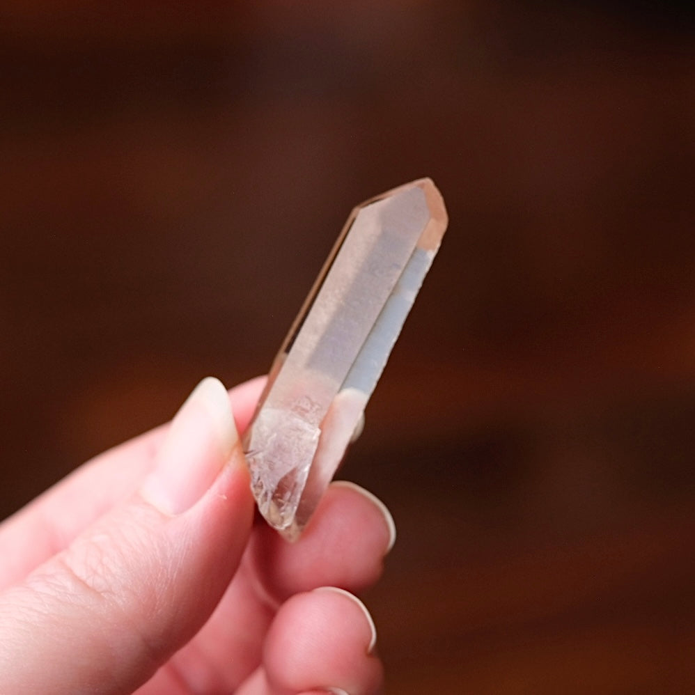 Starbrary Quartz Point | Quartz Crystal Specimen