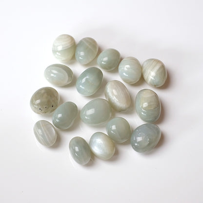 Sage Moonstone Tumbles | Silky Green Moonstone Tumbled Crystal