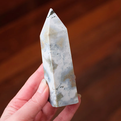 Ocean Jasper Crystal Tower | Orbicular Jasper Point