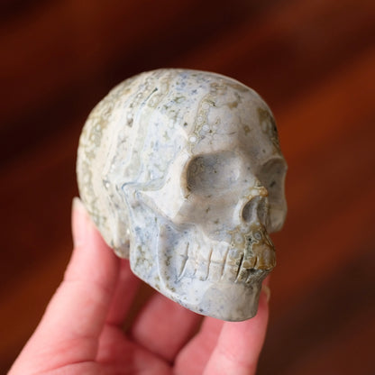 Ocean Jasper Crystal Skull | Orbicular Jasper Stone Skull