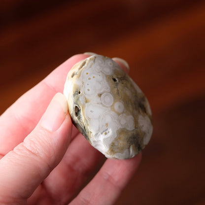 Ocean Jasper Palm | Sea Jasper Crystal Palmstone