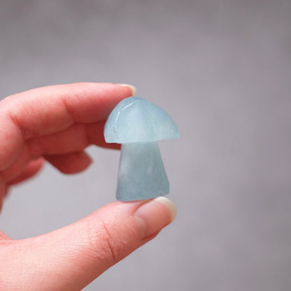 Aquamarine Mushroom | Crystal Mushroom Carving