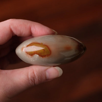 Polychrome Jasper Palm | Jasper Crystal Palmstone