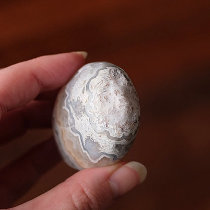 Crazy Lace Agate Palm | Mexican Crazy Lace Crystal Palm