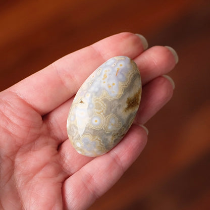 Ocean Jasper Palm | OJ Crystal Pocket Stone