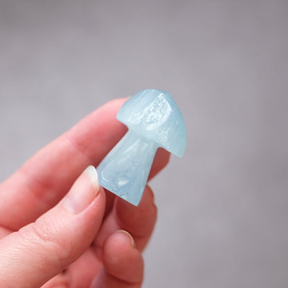 Aquamarine Mushroom | Crystal Mushroom Carving
