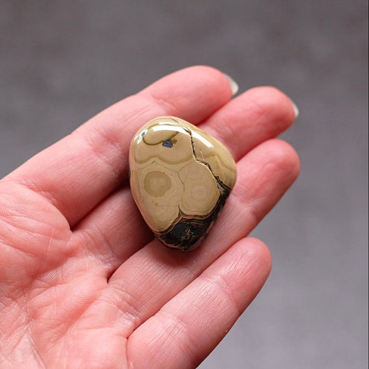 Schalenblende Tumble | Rare Tumbled Crystal | Pocket Stone