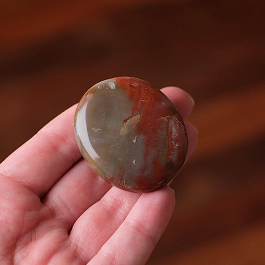 Red Petrified Wood Palm | Fossilized Wood Crystal Palmstone