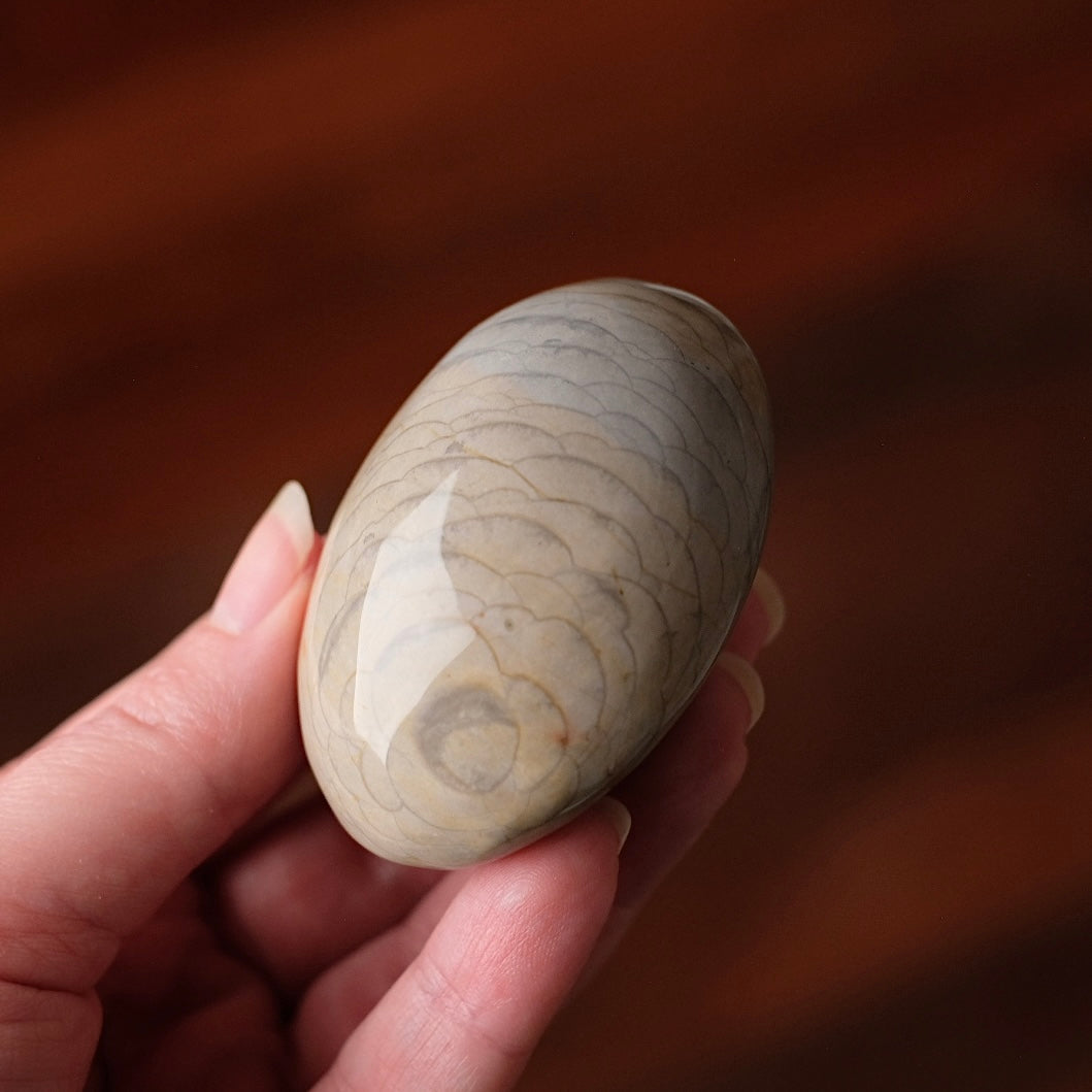 Polychrome Jasper Palm | Wave Polychrome Palm Stone