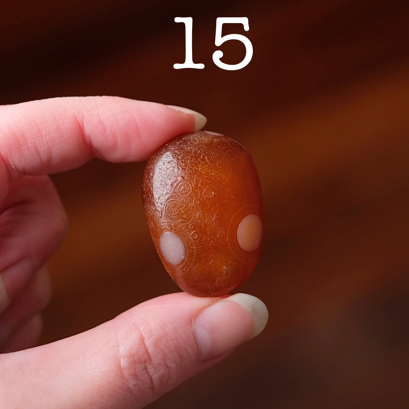 You Choose! Gobi Agate | Gobi Desert Agates