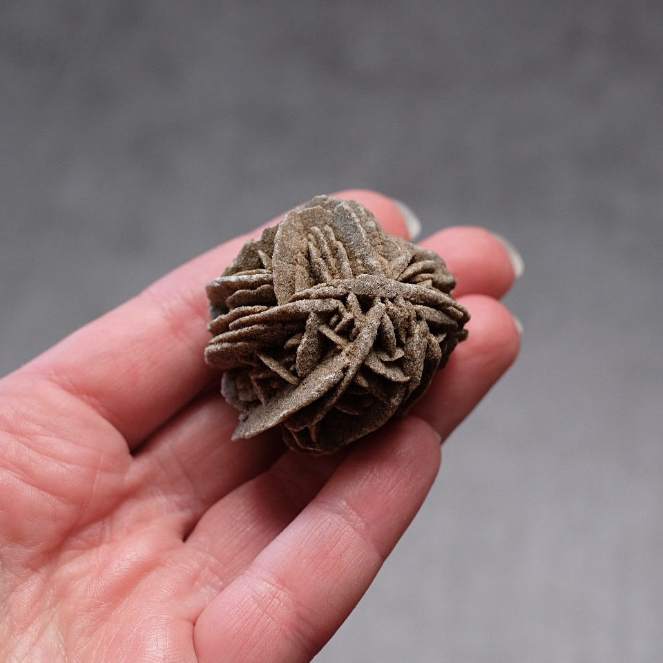 Desert Rose Selenite Specimen | Gypsum Raw Crystal
